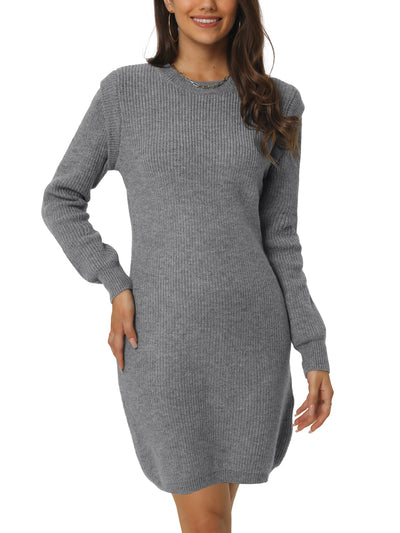 Womens' Round Neck Long Sleeve Slim Fit Casual Fall Winter Mini Sweater Dress