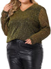 Sequin Relax Fit V Neck Sheer Sleeve Top