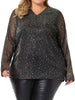 Sequin Relax Fit V Neck Sheer Sleeve Top