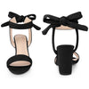 Back Ankle Tie Open Toe Chunky Heel Sandals