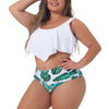 Plus Size Bikini Swimsuit for Women V Neck Floral Ruffles Hem Tankini 2 Piece Bathing Suits