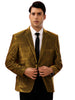 Shiny Sport Coats for Men&
