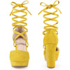 Lace Up Strappy Platform Block Heel Pumps for Women
