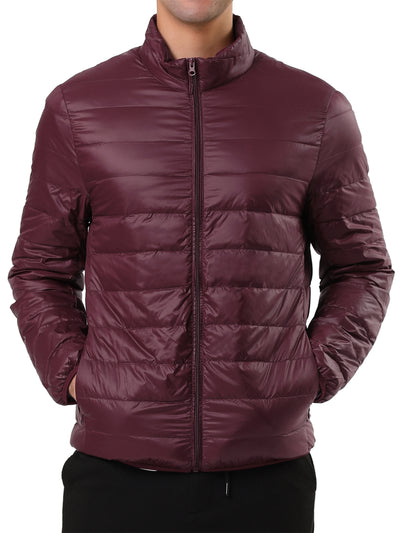 Winter Stand Collar Zip Up Long Sleeve Down Jacket