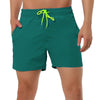 Solid Beach Mesh Lining Drawstring Waist Shorts