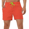 Solid Beach Mesh Lining Drawstring Waist Shorts