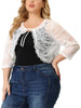 Knit H Line Collarless 3/4 Sleeve Bolero