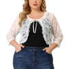 Knit H Line Collarless 3/4 Sleeve Bolero