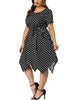 Polka Dot Round Neck Short Sleeve Plus Size Dress