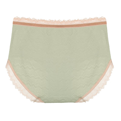 Women's Plus Size Lace Trim Cotton Brief Underwear Panties