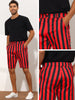Striped Regular Fit Casual Summer Dress Chino Shorts