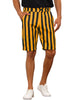 Striped Regular Fit Casual Summer Dress Chino Shorts