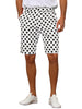 Polka Dots Straight Fit Comfort Flat Front Chino Shorts